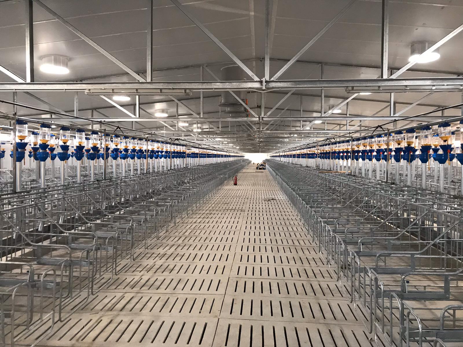Interior de nave con slats y jaulas